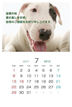 ２０１２年７月（A）