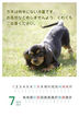 ２０１２年７月（C）