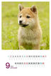 ２０１２年９月（C）